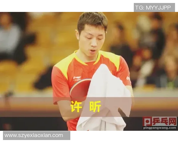 许昕与张本志和的巅峰对决乒乓球赛场上的激情碰撞与技术较量